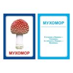 Логопедические карточки «Р»