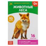 Обучающая книжка по методике Г. Домана «Лесные животные»
