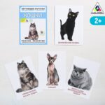 Обучающие карточки по методике Г. Домана «Кошки» — изображение 3