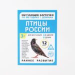 Обучающие карточки по методике Г. Домана «Птицы России»